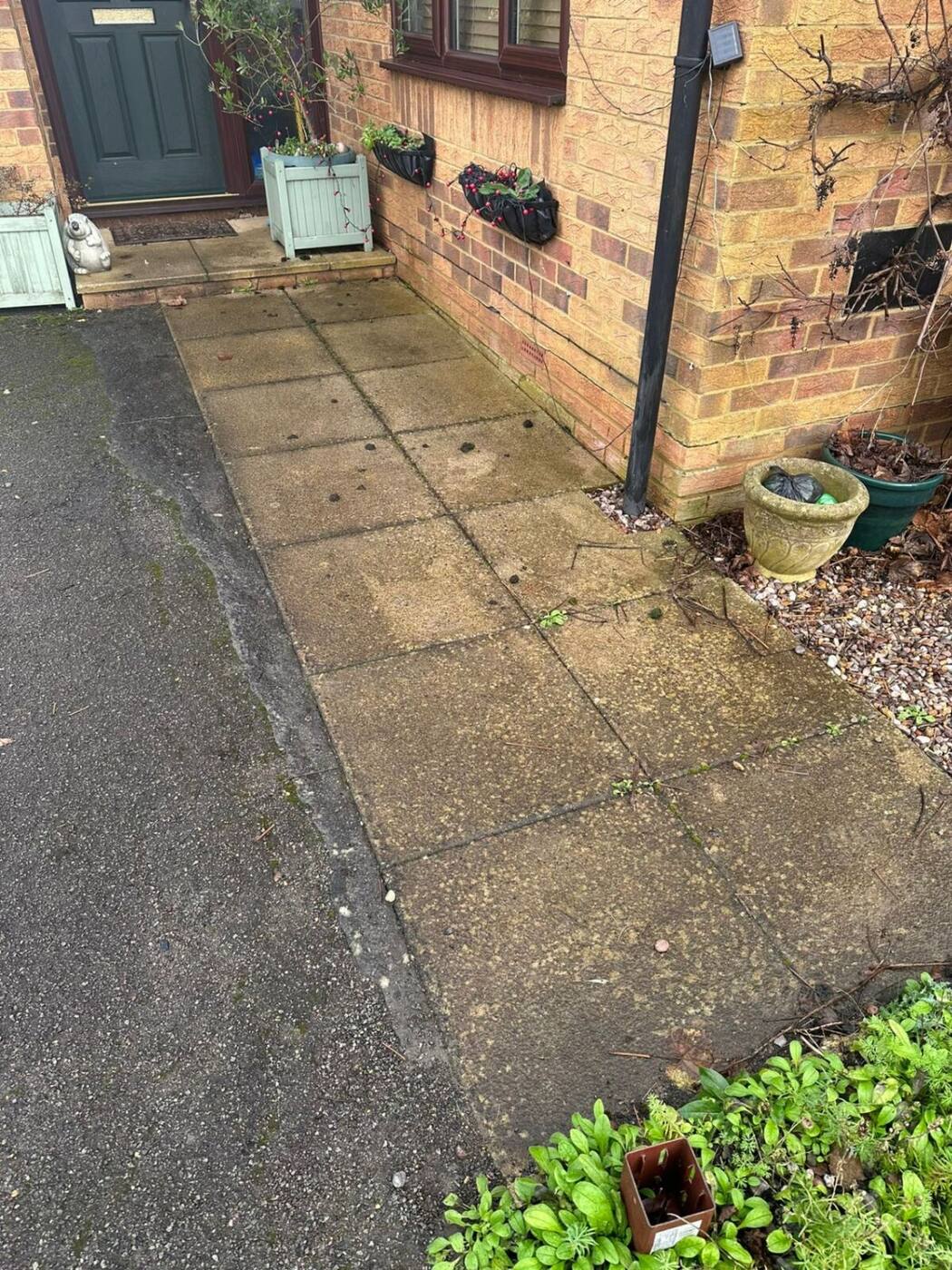 Dirty garden path slabs with moss and algae before pressure washing