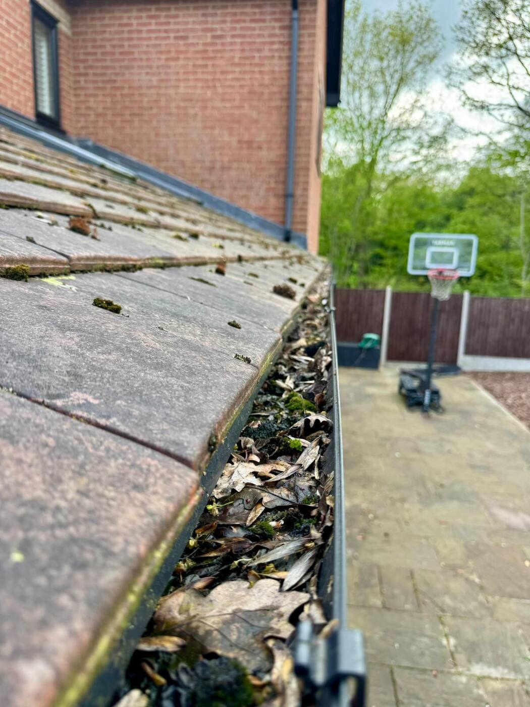 Severely blocked gutter packed with leaves and moss before professional clearing in Milton Keynes